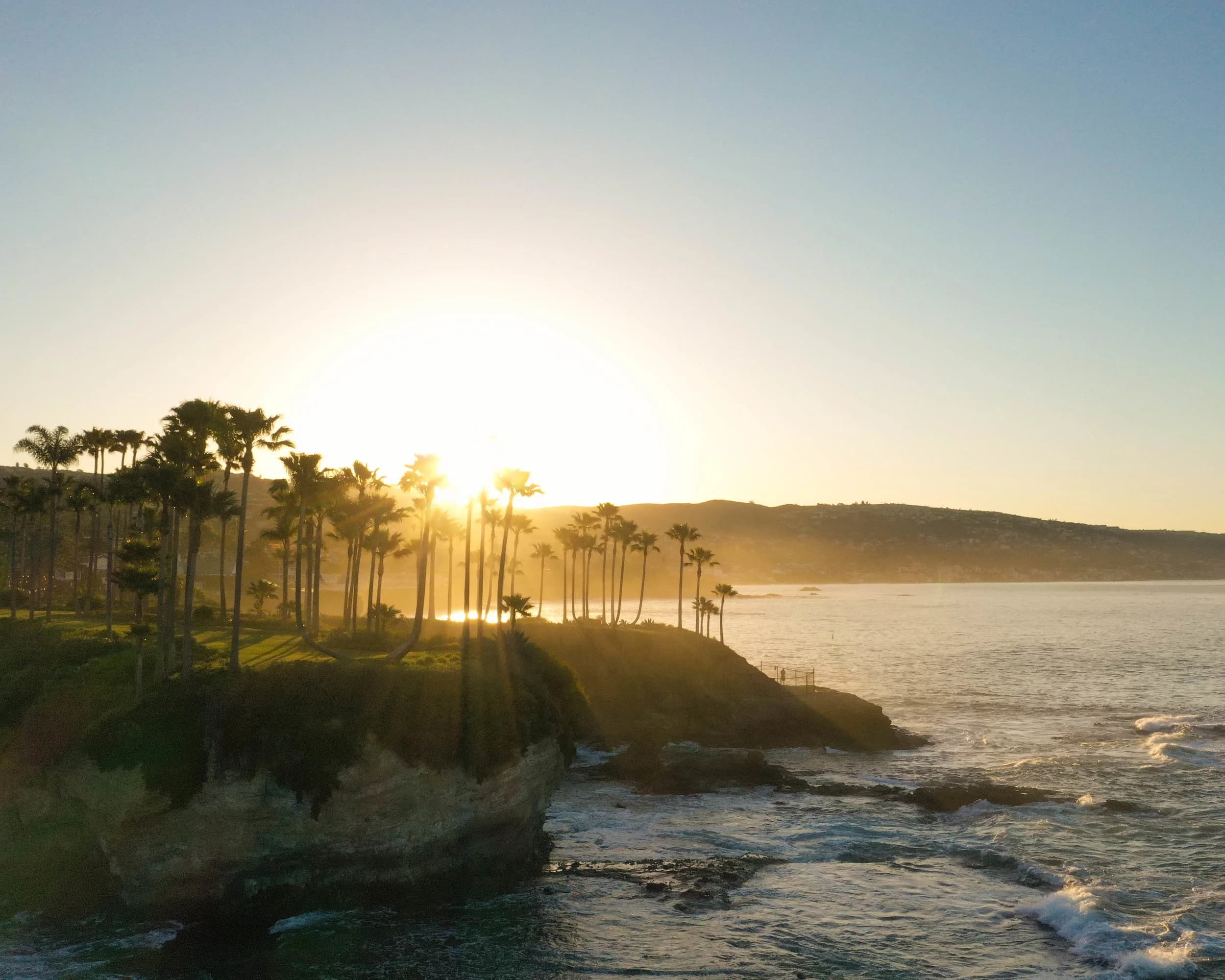 Palm trees on a coastal bluff at golden-hour sunset over the Pacific